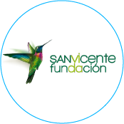 San Vicente Fundación